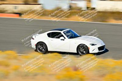 media/Nov-16-2024-Extreme Speed (Sat) [[6587d07cc4]]/Gold Group/Session 3 (The Bowl)/